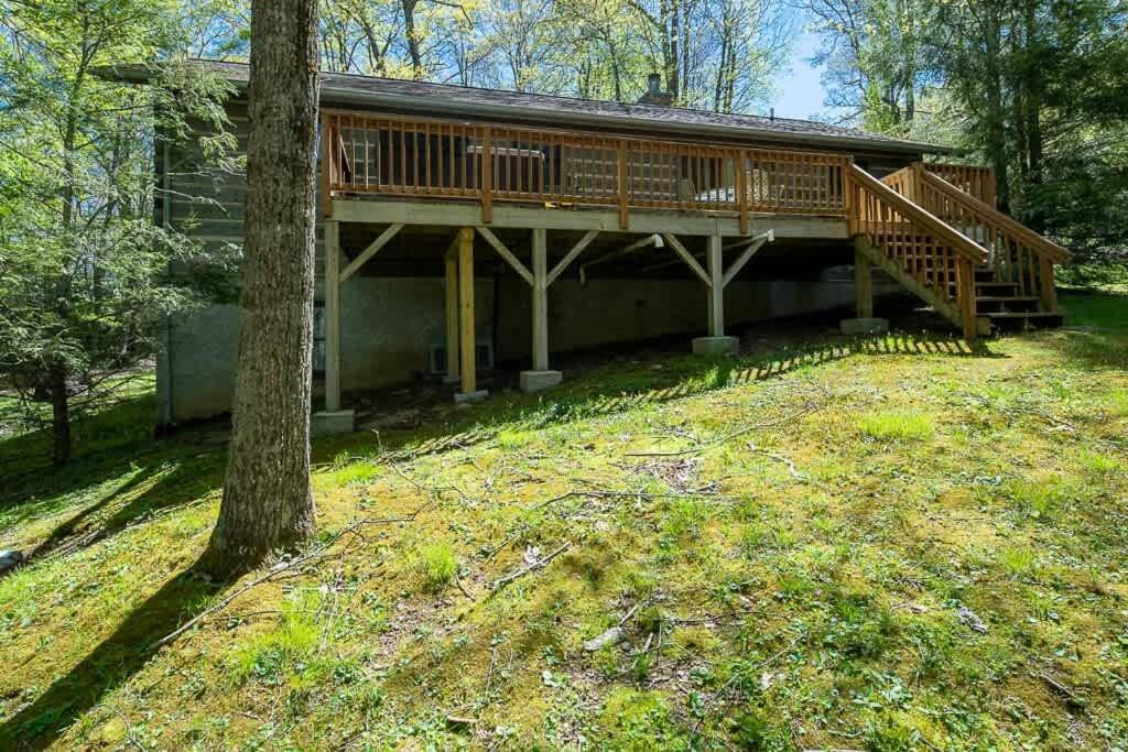 Cozy 'Grey Fox' Cabin Between Boone & Blowing Rock Exterior foto